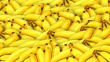bananas-g79d75ecff_1920-16x9_desktop
