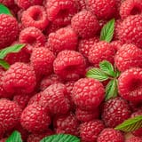 raspberry-freshleaf-dubai-uae-img04