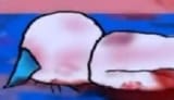 Thread 12357970 OP Image