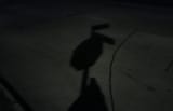 moonbune083023