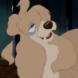 Thread 12358262 OP Image