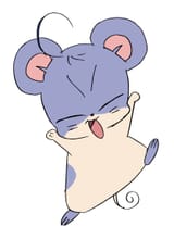 Aiko-Hamster