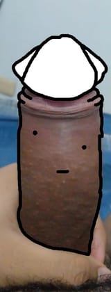 ika penis