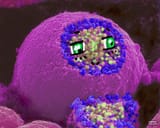 neuro-nicemitter
