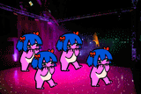 beary dance