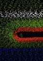 frogi_thumb.jpg
