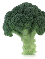 esasem-semi-per-orto-CAVOLO-BROCCOLO-NAXOS-F.1-033-scaled