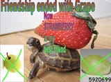1508370901120