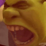 shrek-meme-shrek-scream