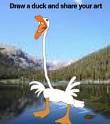 duckpond