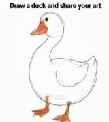 Duck-Arts