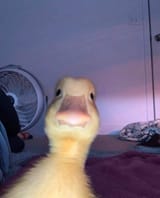 me