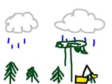 rainforest.skribbl