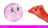 pop