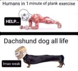 Thread 12366897 OP Image