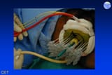 Thread 12368149 OP Image