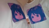 bocctshirt