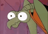 zorak