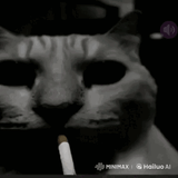 nlmmorelikeniggerlackingmurders