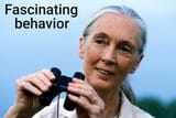 Fascinating behavior