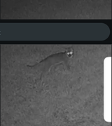 Thread 12374662 OP Image