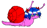 snel