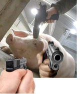 1748358700443208