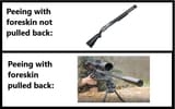 Thread 12376221 OP Image
