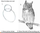 how to owl