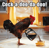 Cock-a-doo-da-doo!