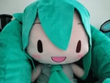 Thread 12377187 OP Image