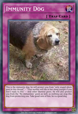 Immunity Dog