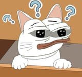 cat pepe