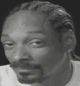 snoop-snoop-dogg
