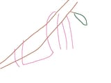 sloth.skribbl