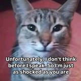 shocked