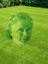 grass