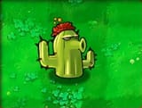 c_pvz