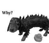 why
