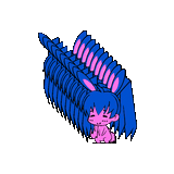 33978797