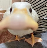 1707198796541836