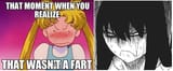 fart