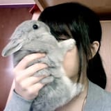 snif le bunn