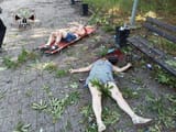 herdeaths-54eutjdgrd-3-768x576