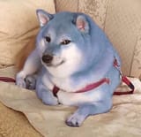 pascal the doge