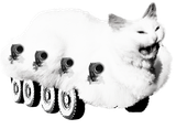 kotStryker