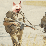 bush war kot