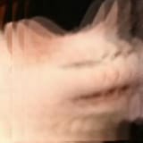 1665517272816629