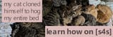 banner_important