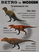 t-rexbuff